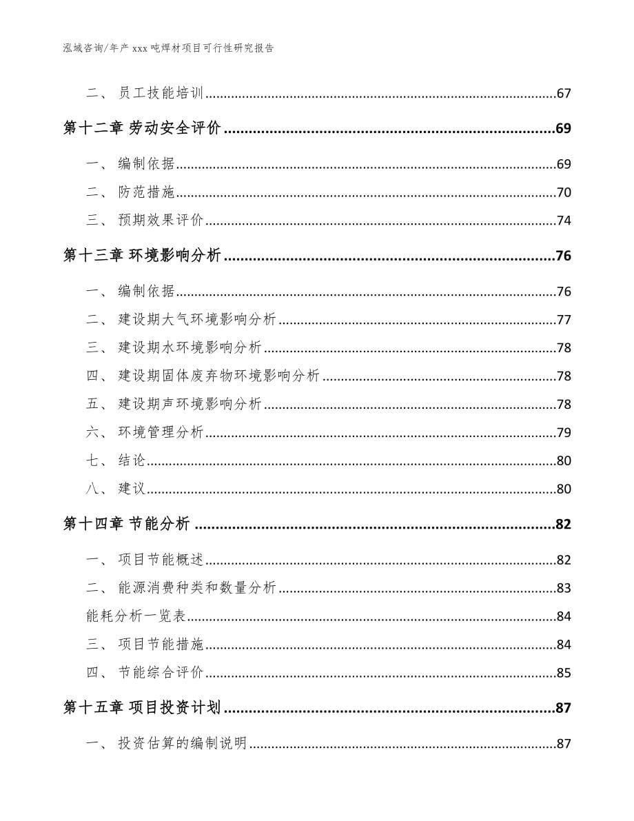 年产xxx吨焊材项目可行性研究报告【参考范文】_第5页