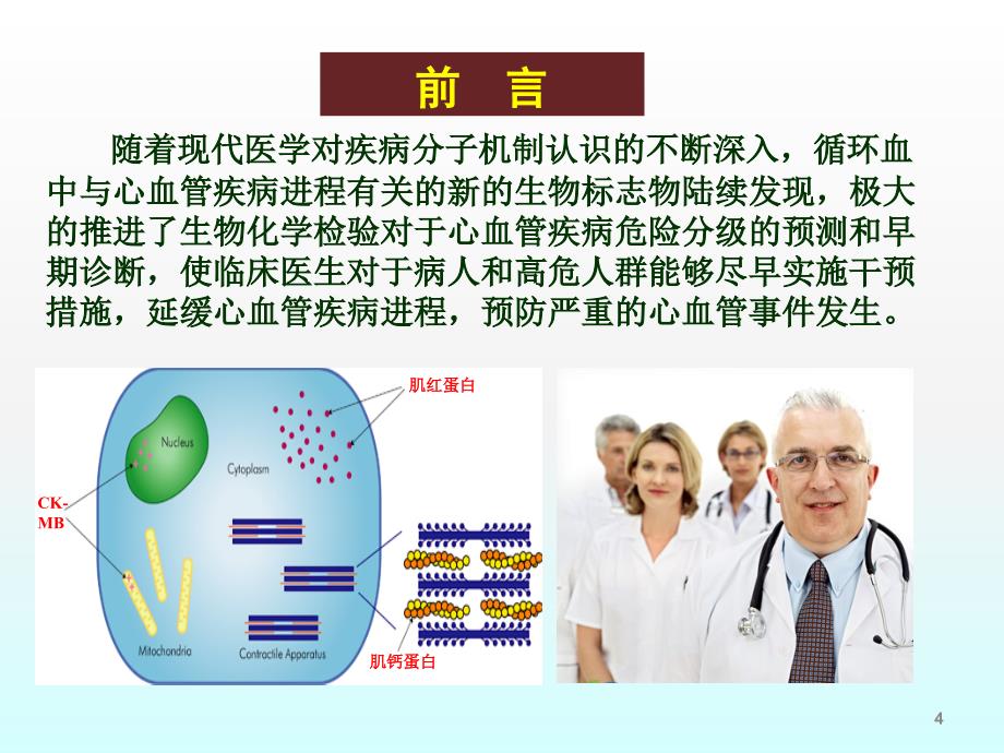 心血管疾病的生物化学诊断ppt课件_第4页