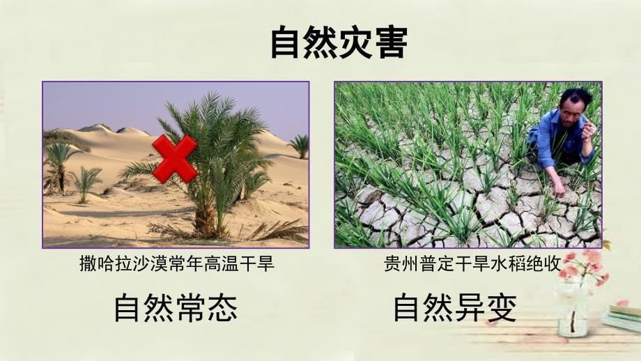 八年级地理上册 2.4 自然灾害课件1新版新人教版_第5页