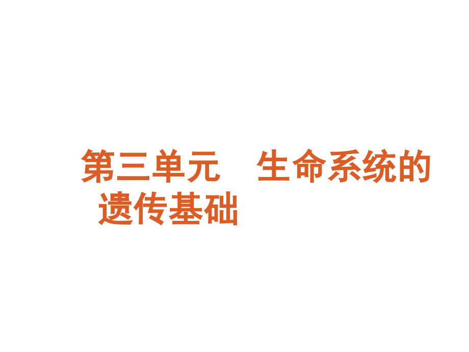 广东省高考生物二轮-生命系统的遗传基础-新课标完整教学课件_第2页