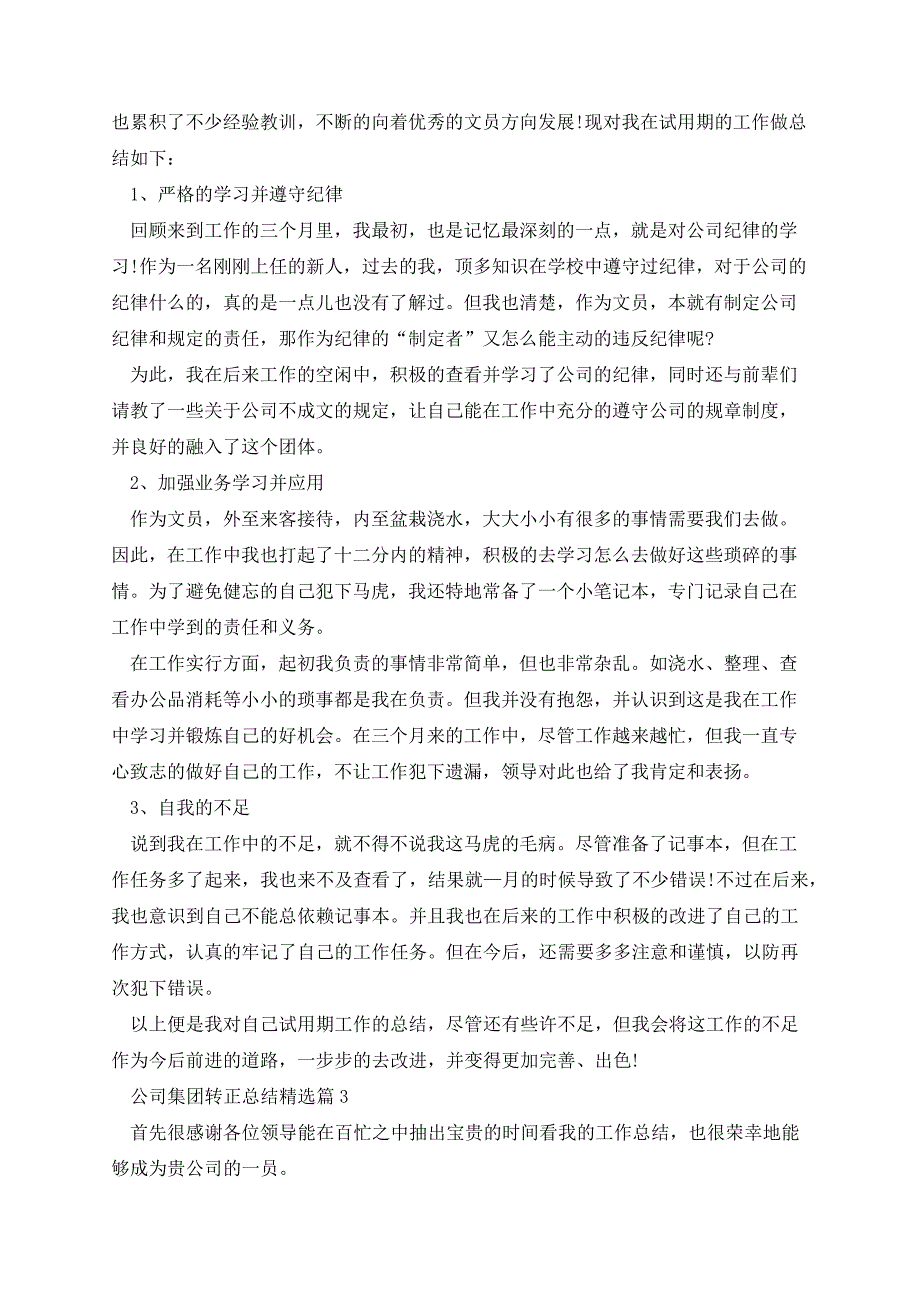 公司集团转正总结13487_第2页