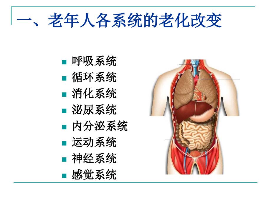 老年人常见健康问题与护理ppt课件_第2页