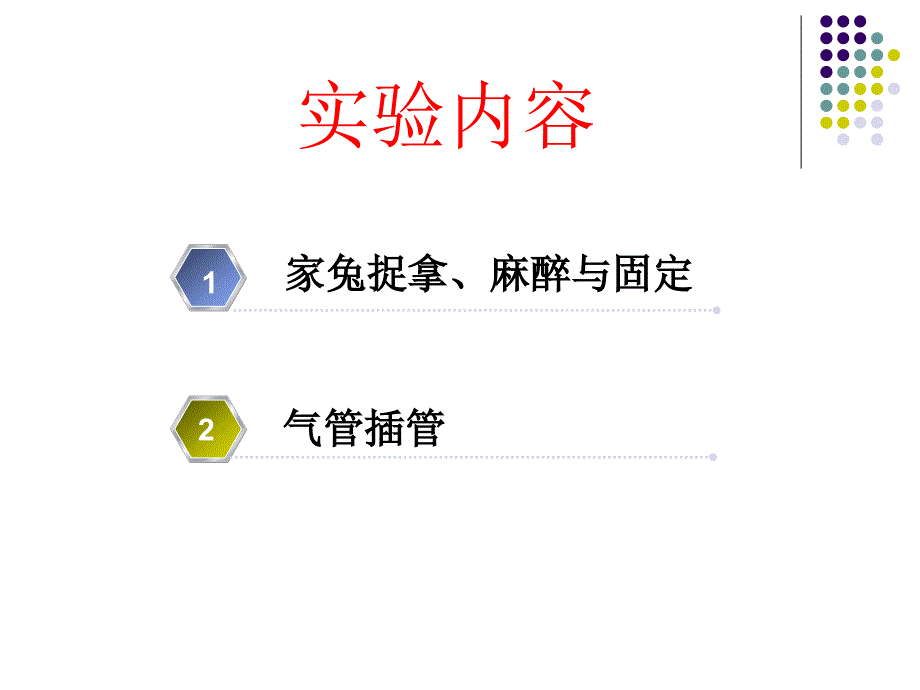 机能学实验家兔的捉拿麻醉气管插管_第1页