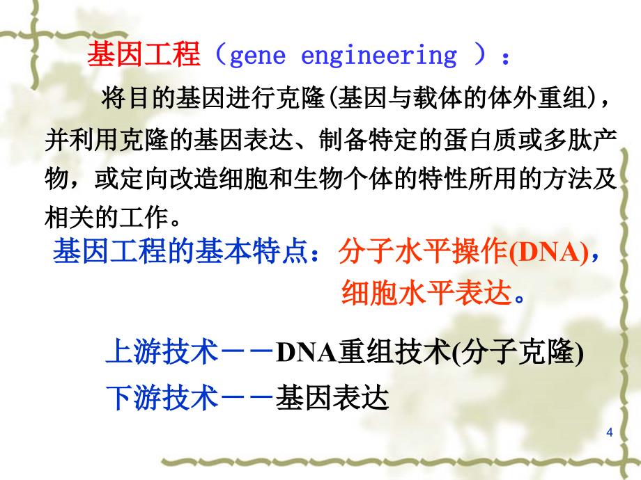 基因克隆.ppt_第4页