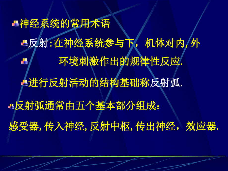 第十一章 神经系统_第2页