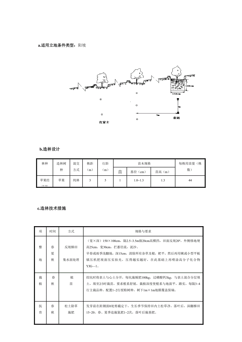 造林典型设计.doc_第3页