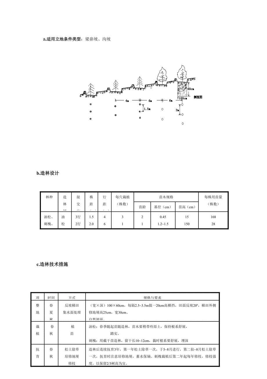 造林典型设计.doc_第5页