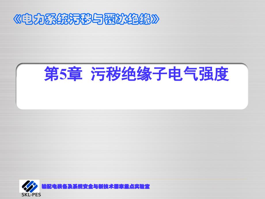 电力系统污秽与覆冰绝缘5_第1页