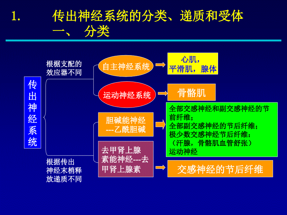 ll传出神经系统概论解读_第4页