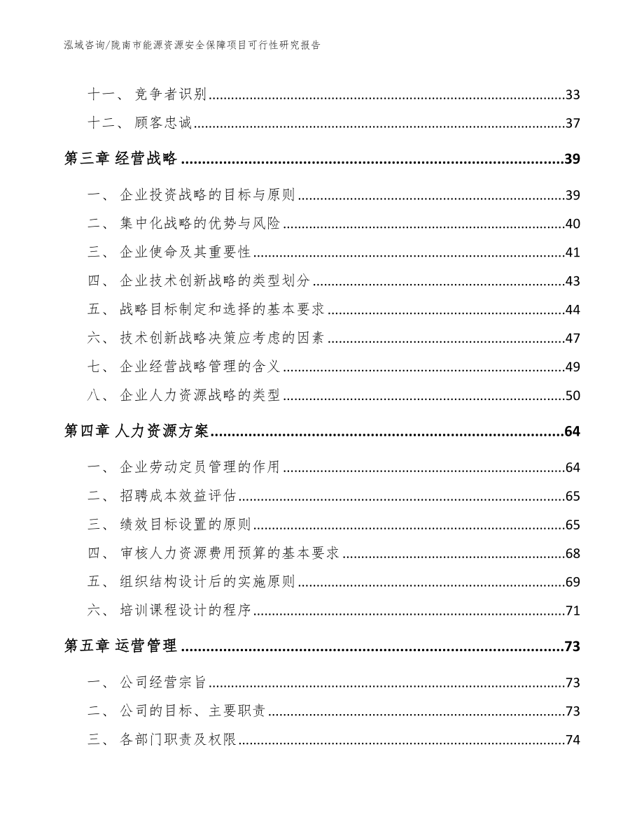 陇南市能源资源安全保障项目可行性分析报告（模板参考）_第3页