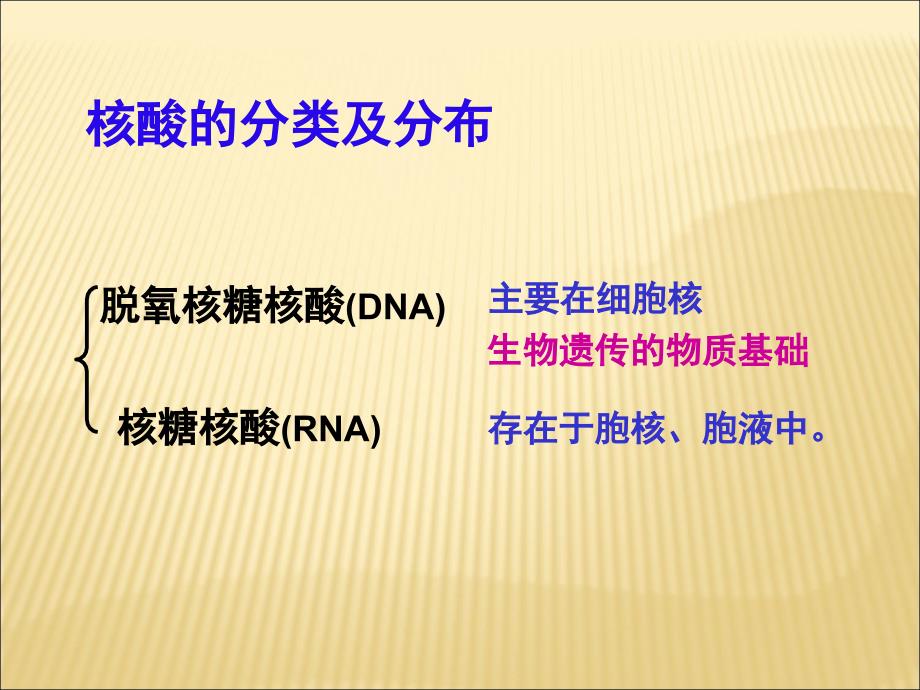 生物化学核酸化学核酸结构和功能课件_第3页