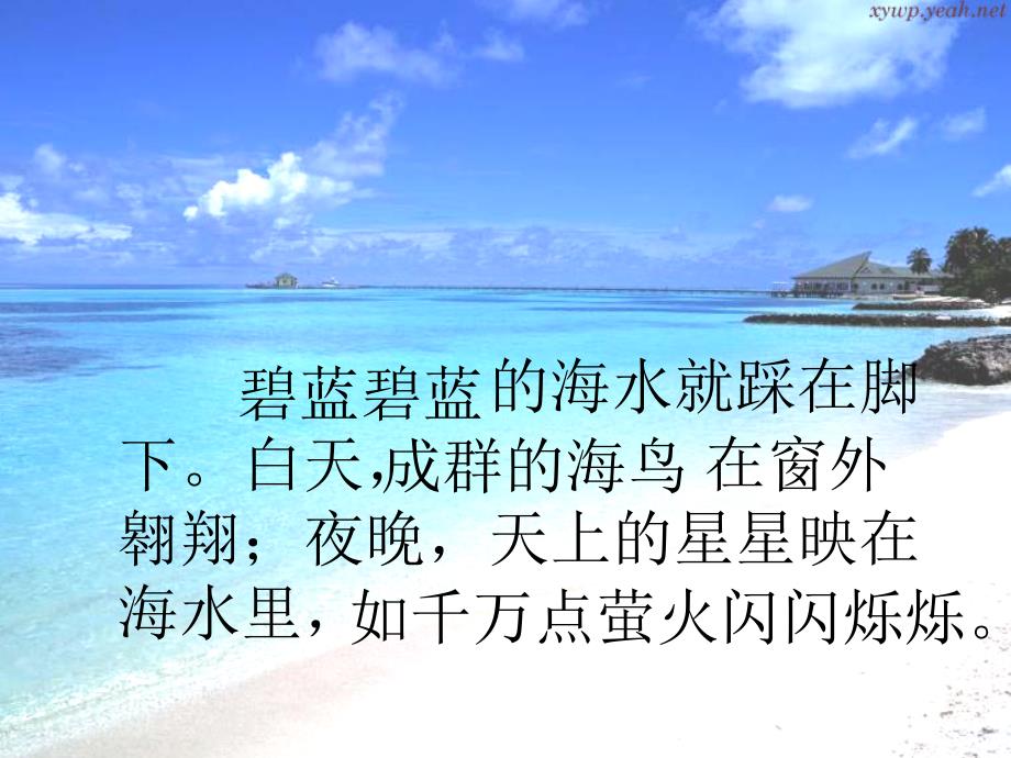 六年级语文上册爷爷的芦笛课件3鄂教版课件_第3页