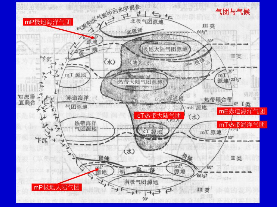 世界植被分布规律与植被区划_第3页