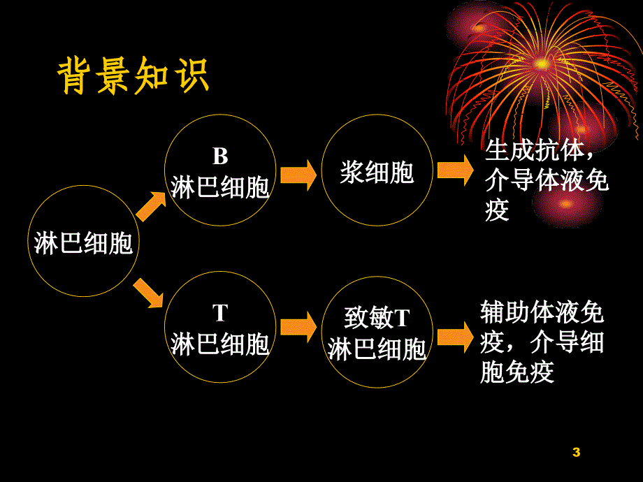 医学抗原本科PPT课件_第3页