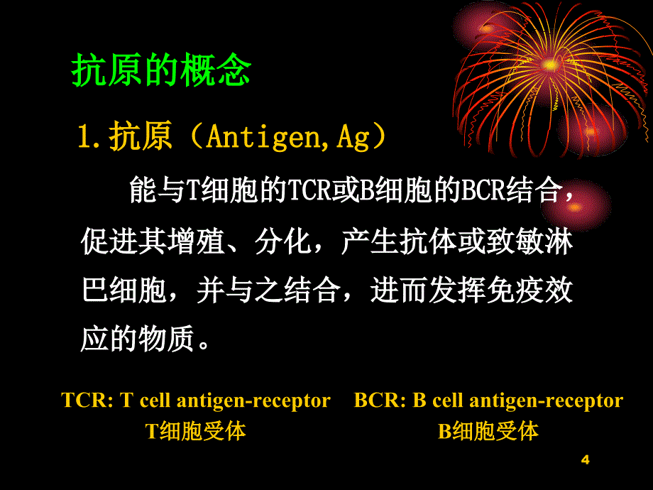 医学抗原本科PPT课件_第4页