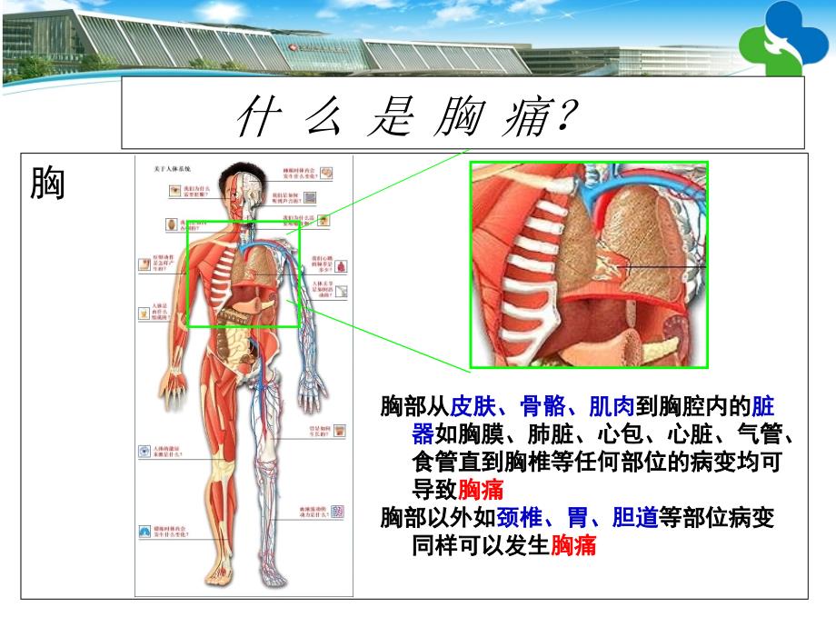 胸痛与家庭自救ppt课件_第3页