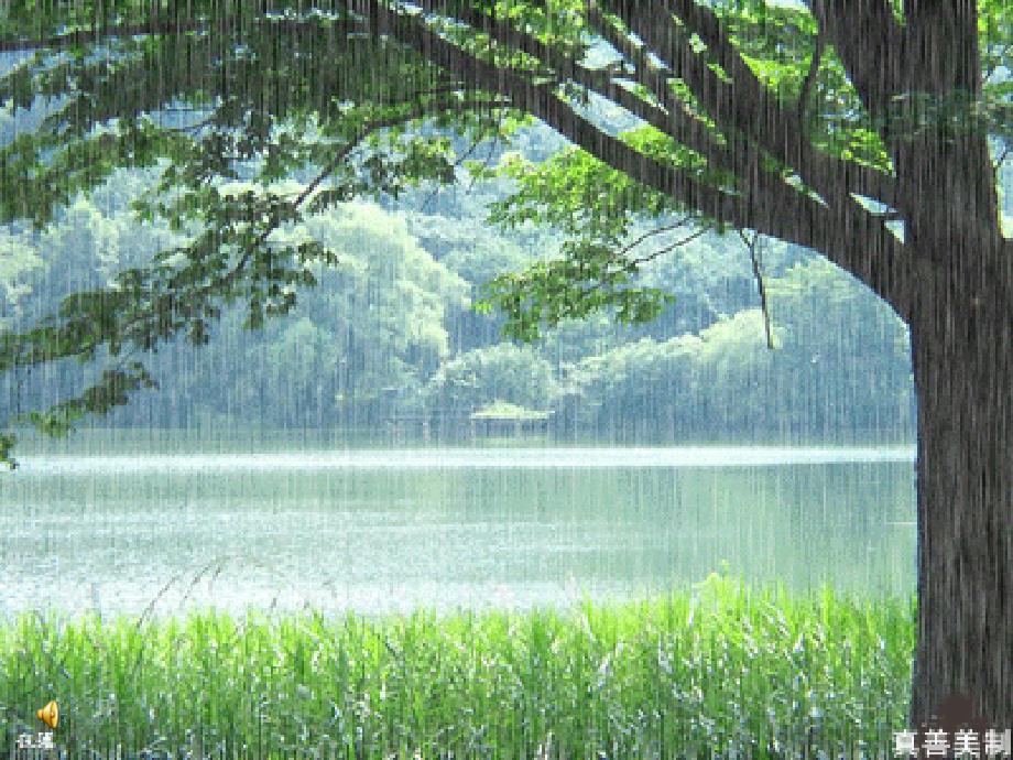 雨点详细的课件_第1页