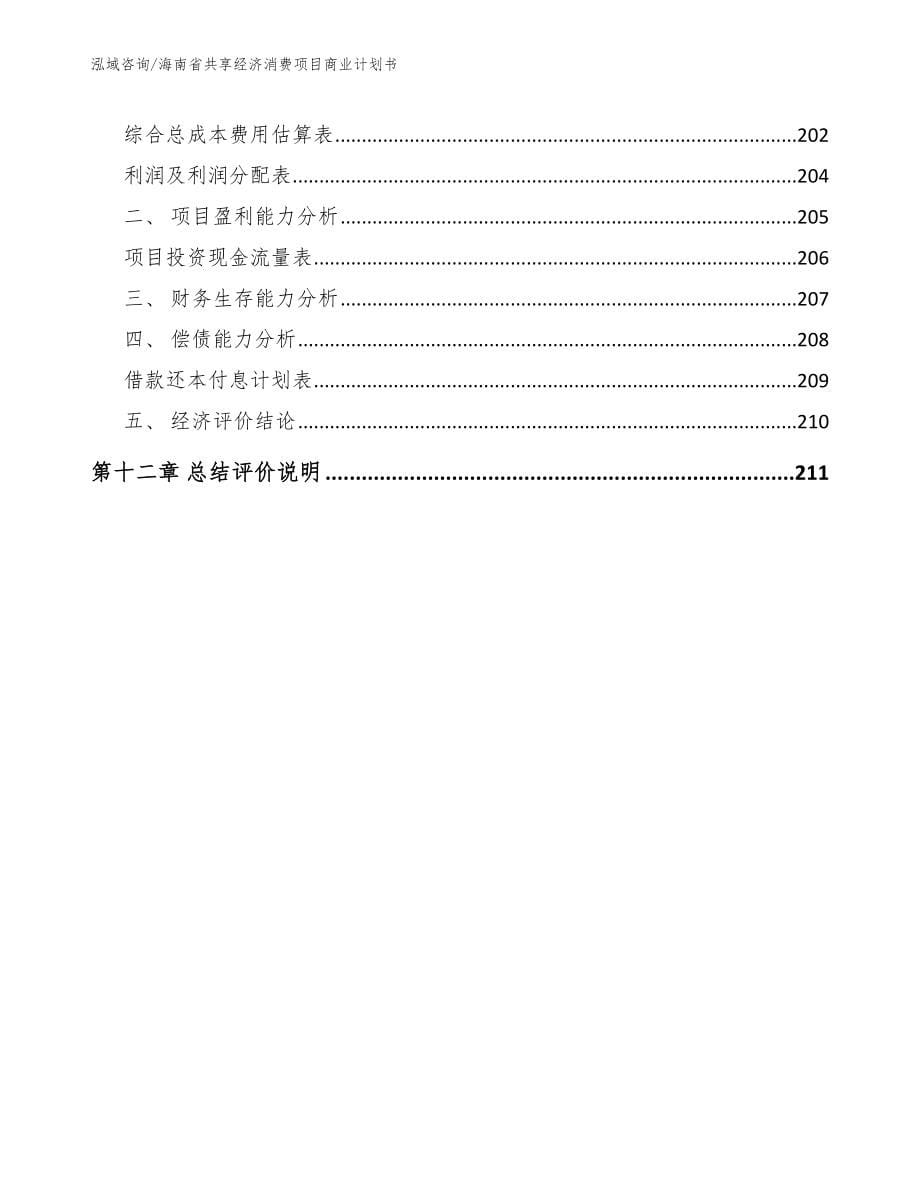 海南省共享经济消费项目商业计划书_第5页