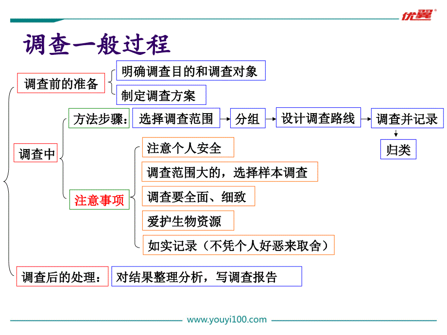 2第二节调查周边环境中的生物_第4页