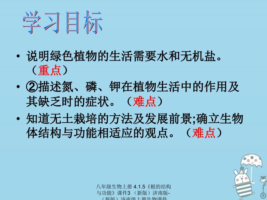 最新八年级生物上册4.1.5根的结构与功能课件3_第4页