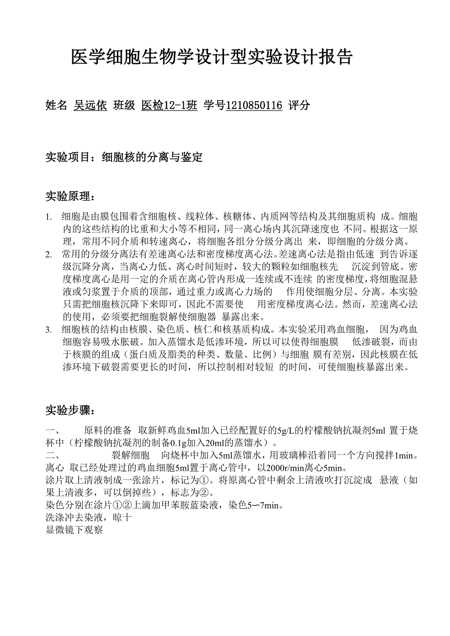 细胞核分离与鉴定_第1页