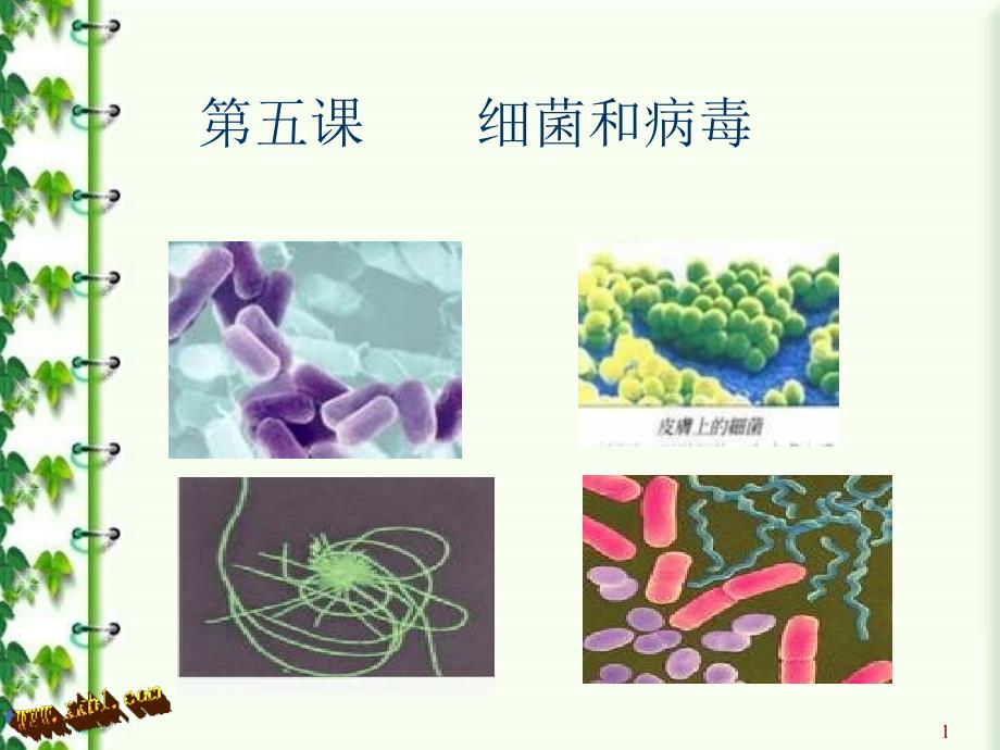 小学科学细菌和病毒PPT幻灯片_第1页