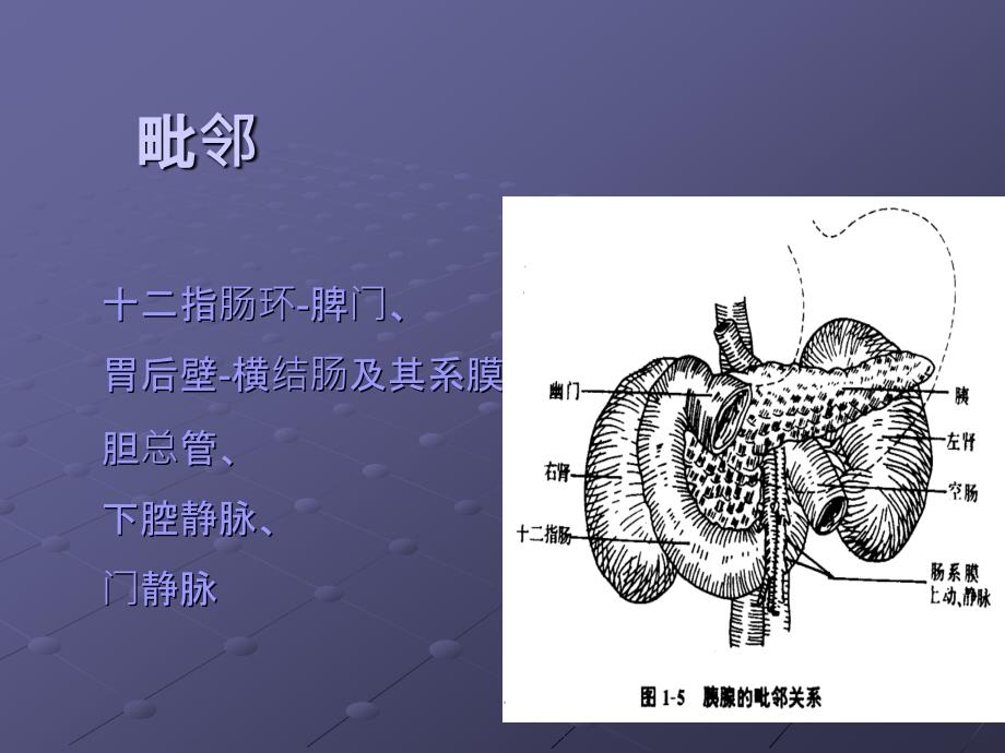 急性胰腺炎ppt27237.ppt_第4页