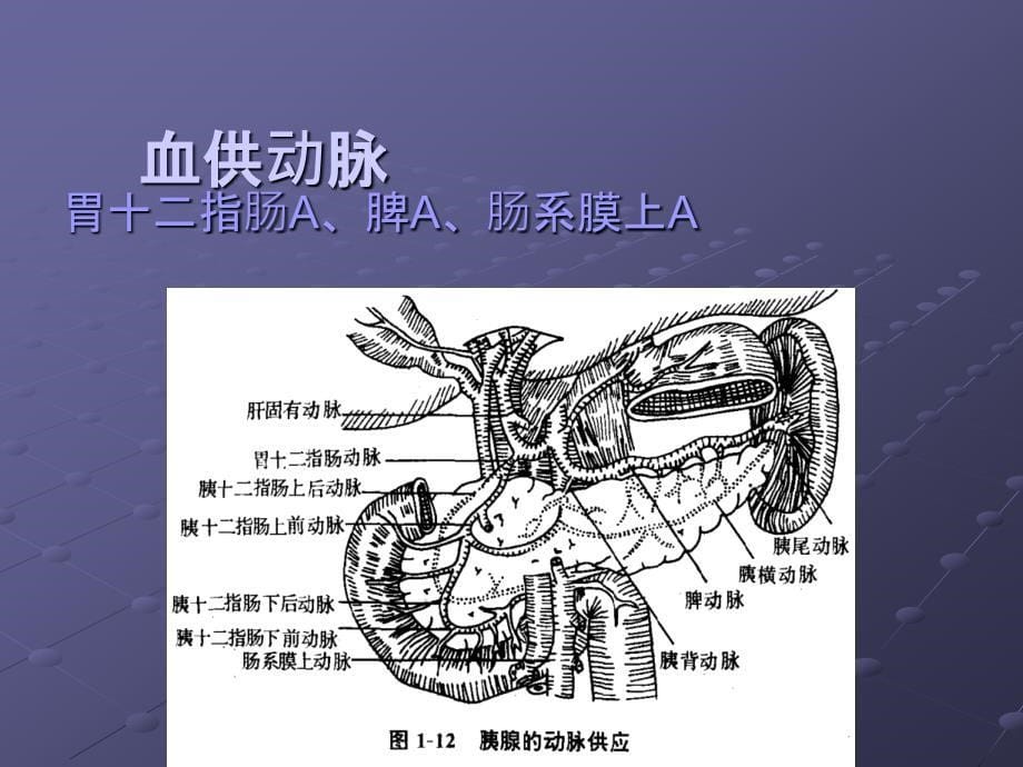 急性胰腺炎ppt27237.ppt_第5页