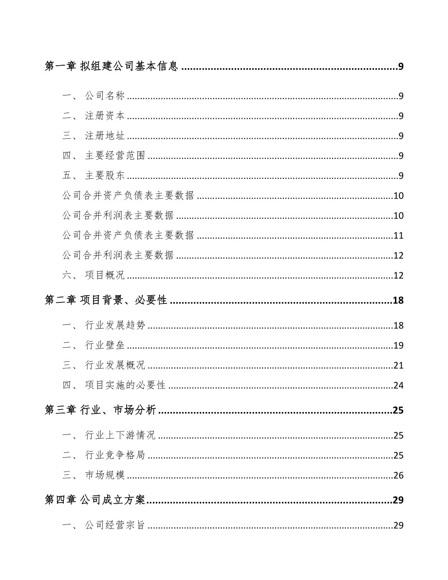 洛阳关于成立汽车灯具公司报告(DOC 85页)_第3页