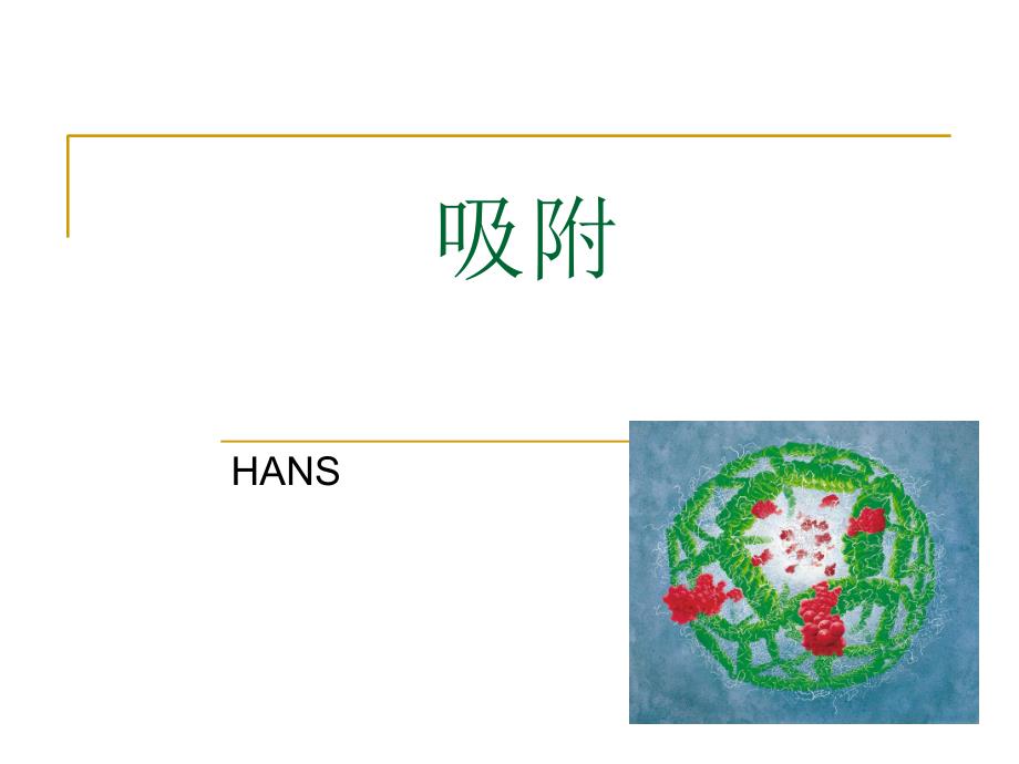 吸附原理及应用PPT课件_第1页