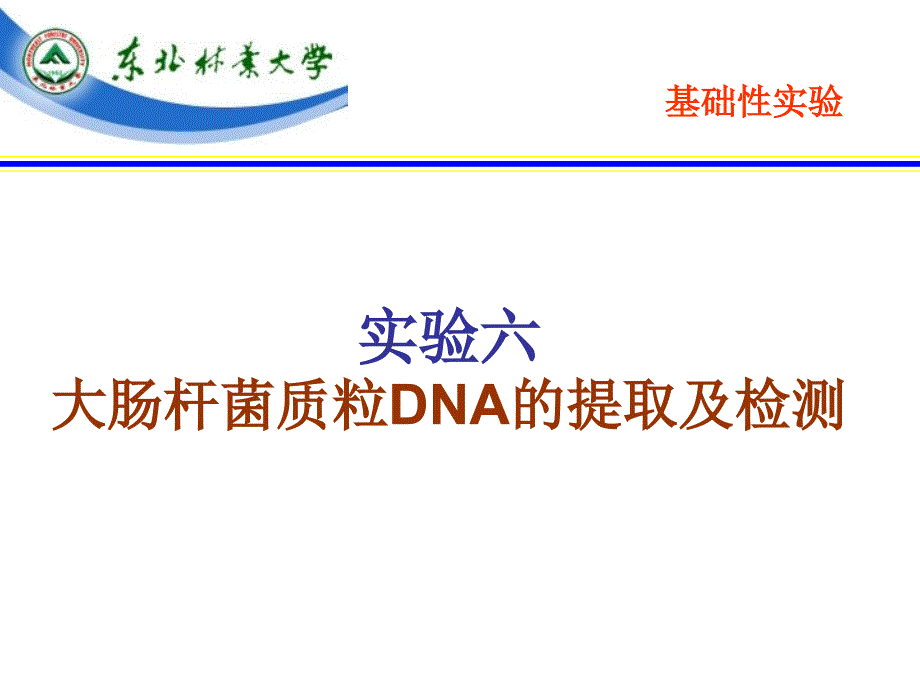 实验六、大肠杆菌质粒DNA的提取与电泳检测_第1页