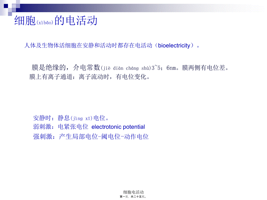 细胞电活动课件_第1页