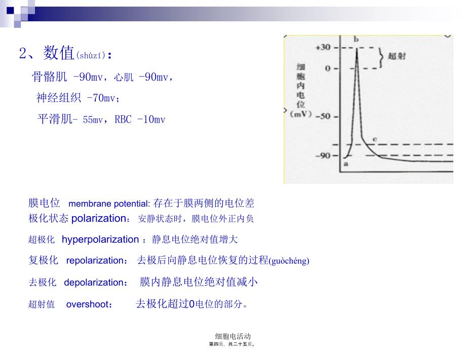 细胞电活动课件_第4页