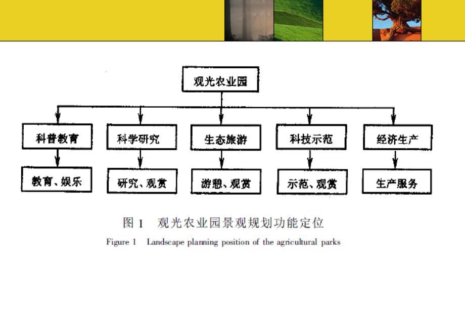 观光农业生态园规划方案 (2)_第3页