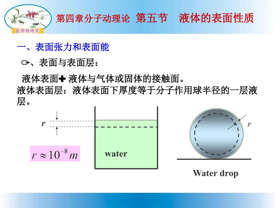 《液体的表面性质》PPT课件_第1页