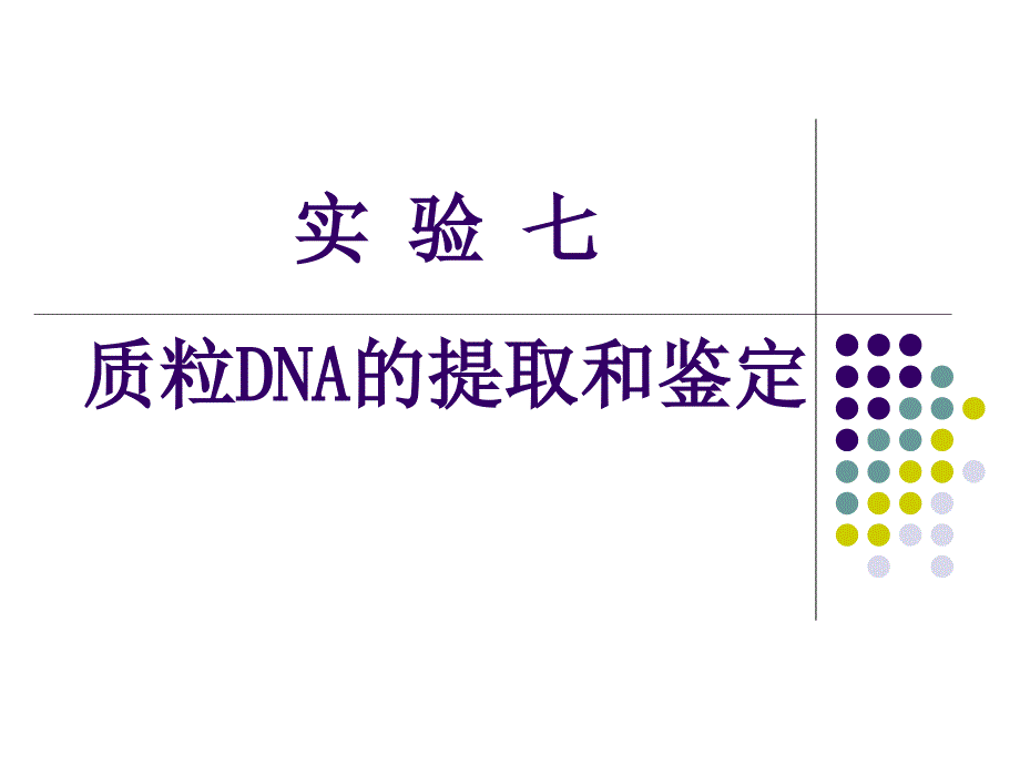 实验七质粒DNA的提取和鉴定PPT课件_第1页