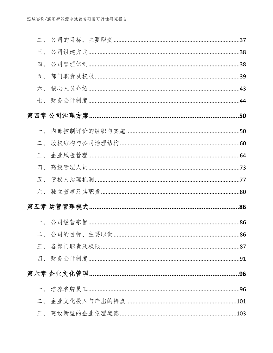 濮阳新能源电池销售项目可行性研究报告_第2页