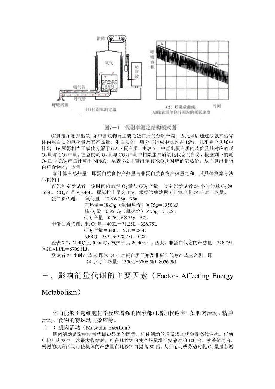 能量代谢与体温_第5页