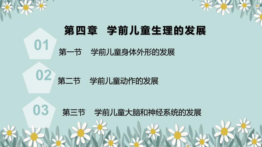 学前儿童生理的发展.ppt_第2页