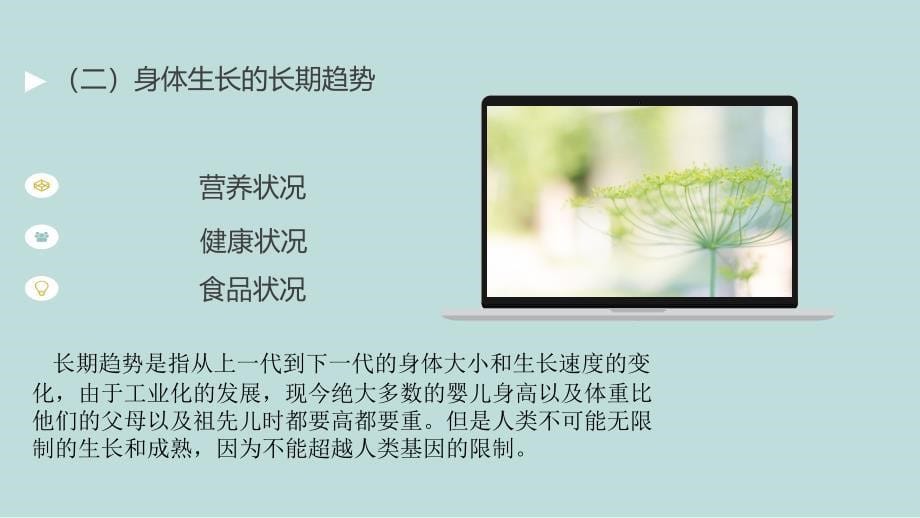 学前儿童生理的发展.ppt_第5页