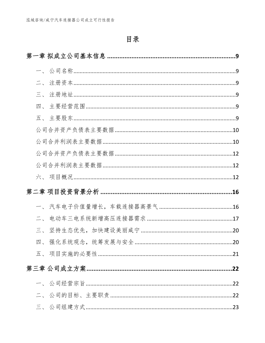 咸宁汽车连接器公司成立可行性报告【模板参考】_第2页