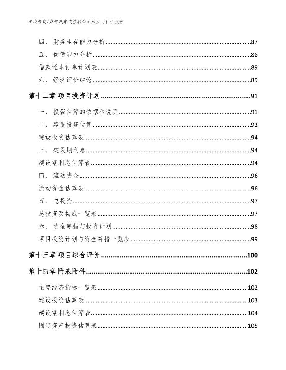 咸宁汽车连接器公司成立可行性报告【模板参考】_第5页