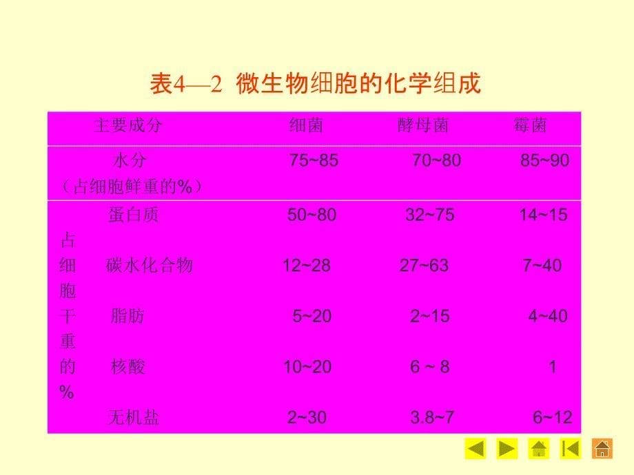 七章微生物的营养和培养基ppt课件_第5页