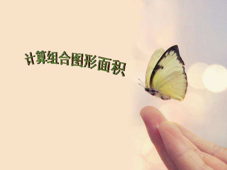 求阴影部分的面积ppt_第1页