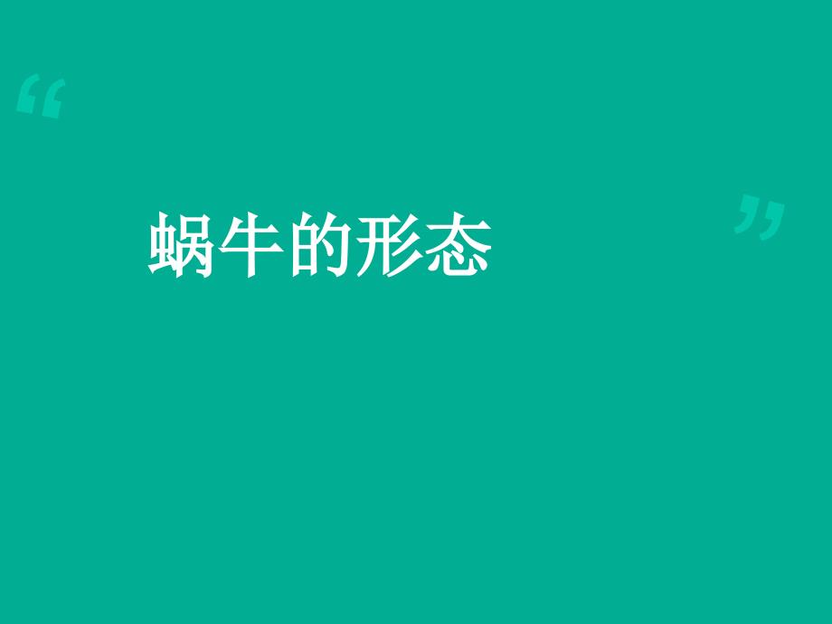 小学三年级科学上册蜗牛一课件_第3页