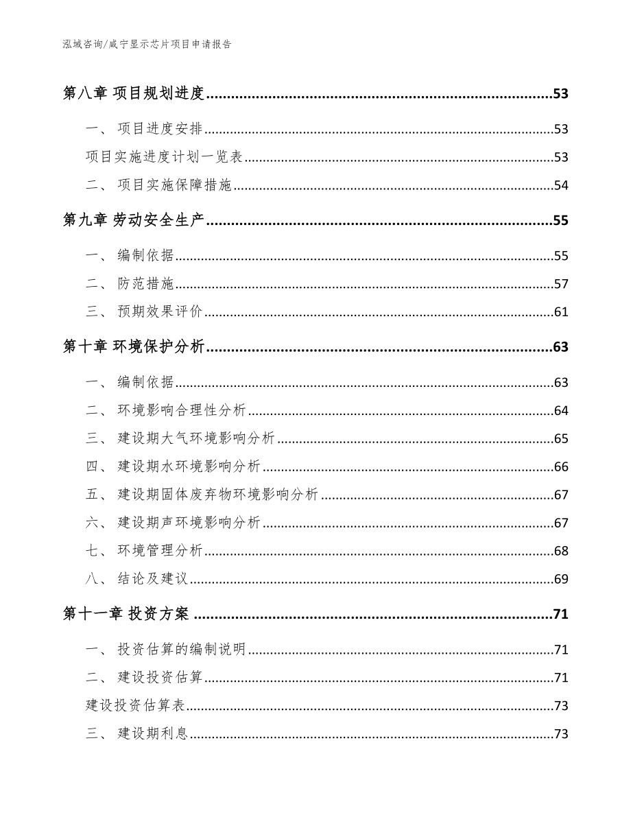 咸宁显示芯片项目申请报告【参考模板】_第4页