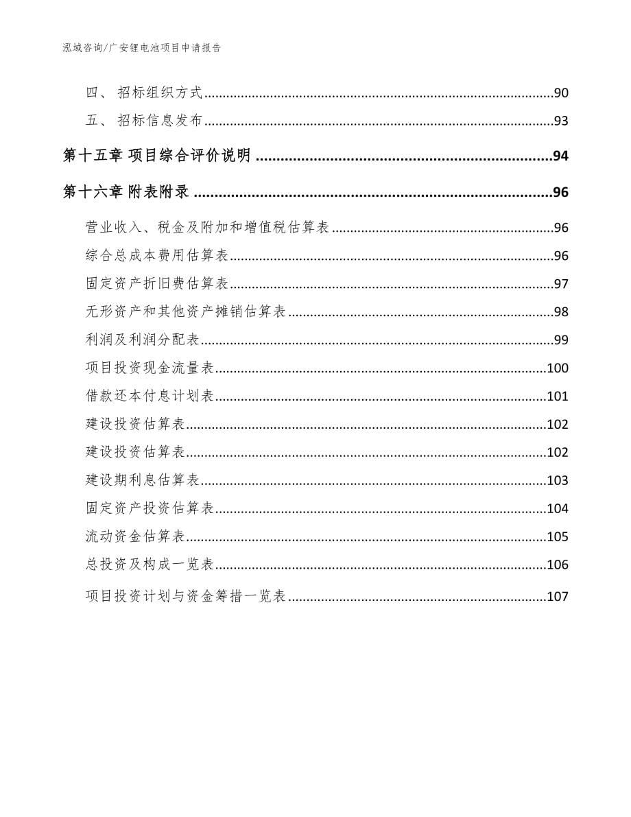 广安锂电池项目申请报告【模板范本】_第5页