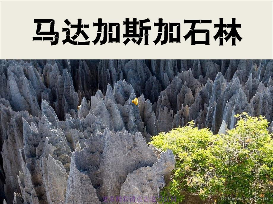 马达加斯加石林_第1页