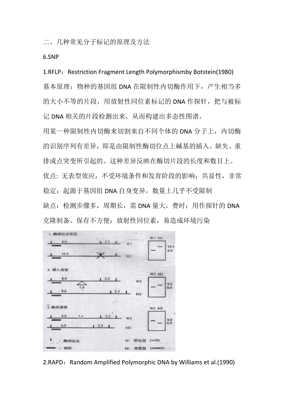 分子标记技术原理、方法和应用_第3页