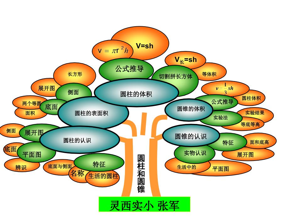 苏教版六年级数学下第二单元知识树_第1页